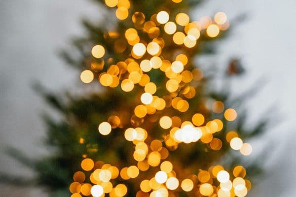 Cum să alegi bradul perfect pentru un living modern